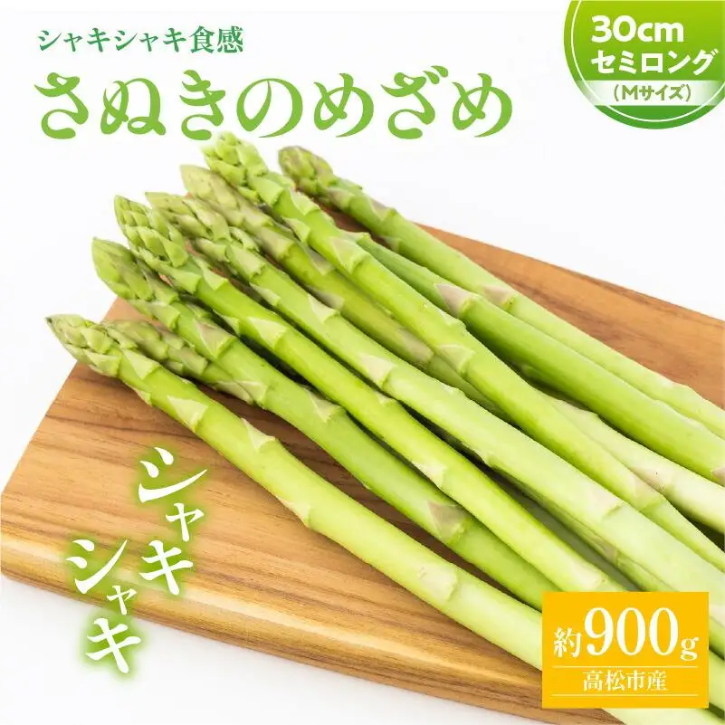 シャキシャキ食感 さぬきのめざめ セミロング 30cm ( Mサイズ ) 約900g【2026年7月上旬～2026年10月中旬配送】