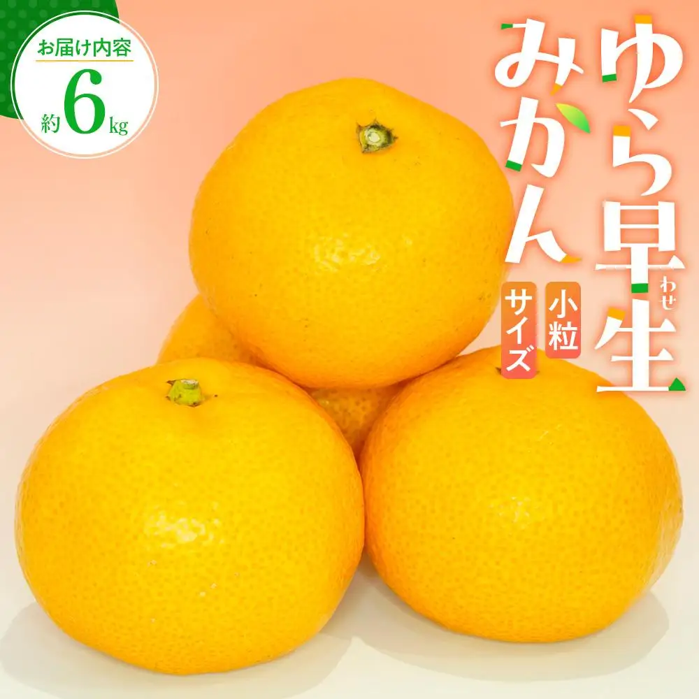 小粒サイズ ゆら早生 みかん 約6kg 【2026年9月下旬～2026年11月上旬配送】