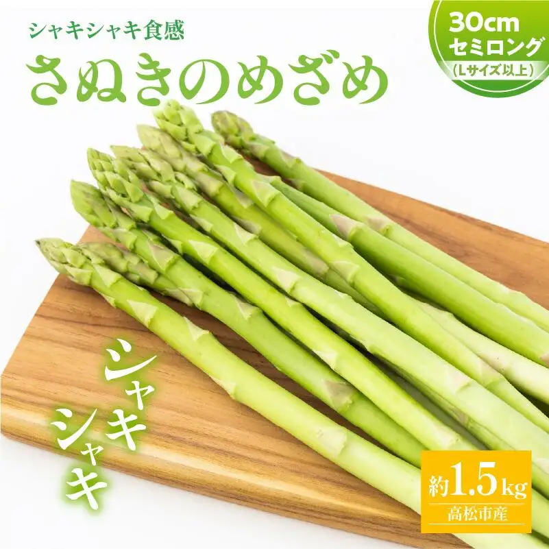 シャキシャキ食感 さぬきのめざめ セミロング 30cm ( Lサイズ 以上 ) 約1.5kg【2026-7月上旬～2026-10月中旬配送】