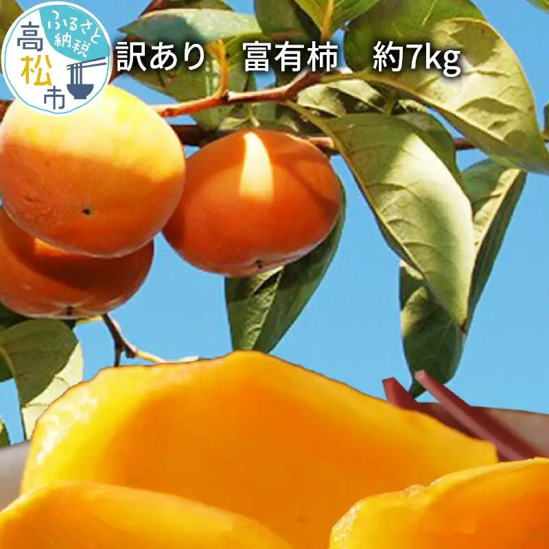 訳あり　富有柿　約7kg【2026年10月下旬～2026年12月中旬配送】