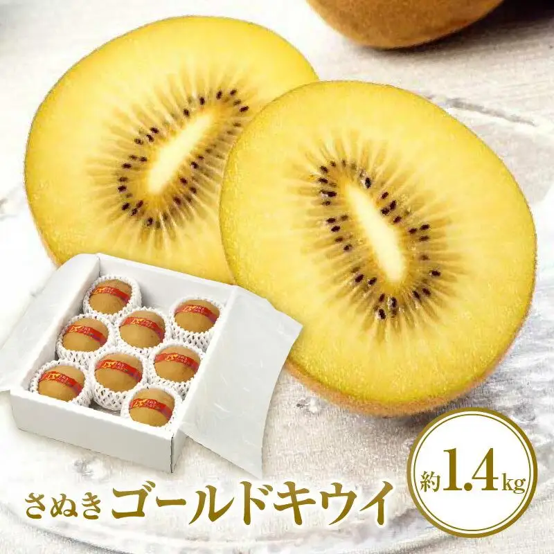 さぬきゴールドキウイ化粧箱　約1.4kg【2026年10月中旬～2027年1月下旬配送】