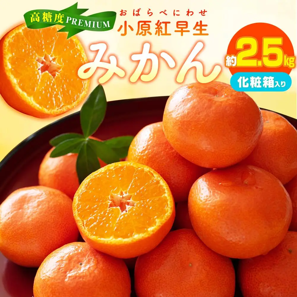 高糖度　プレミアム小原紅早生みかん化粧箱　約2.5kg【2026年11月中旬～2027年1月中旬配送】