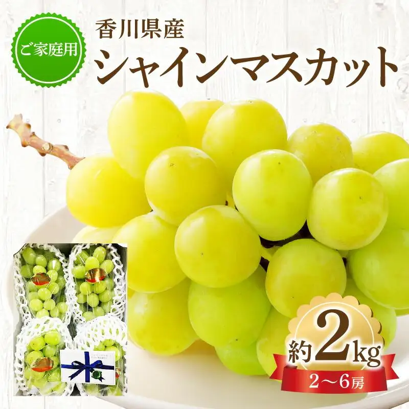 ご家庭用シャインマスカット 約 2kg ぶどう 【2026-8月下旬～2026-9月下旬配送】