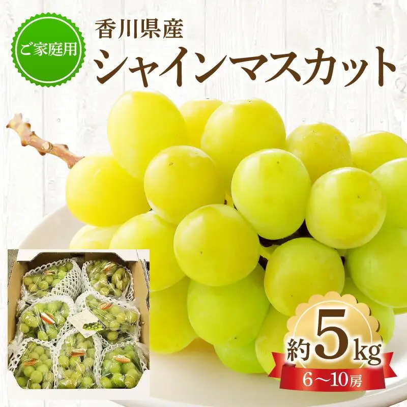 ご家庭用 シャインマスカット 約5kg 【2026-8月下旬～2026-9月下旬配送】