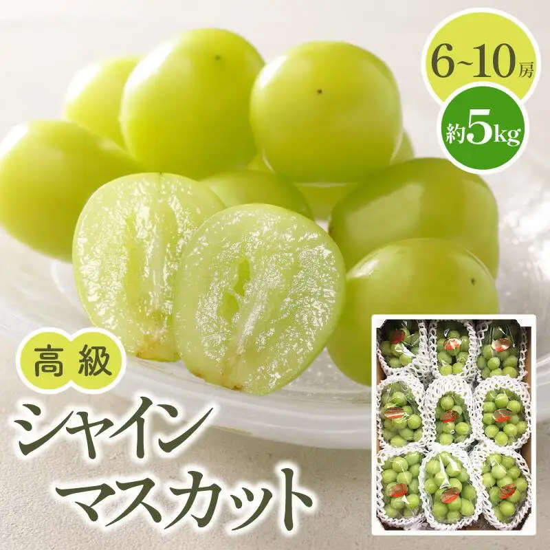 高級  シャインマスカット 約5kg【2026-7月下旬～2026-8月下旬配送】