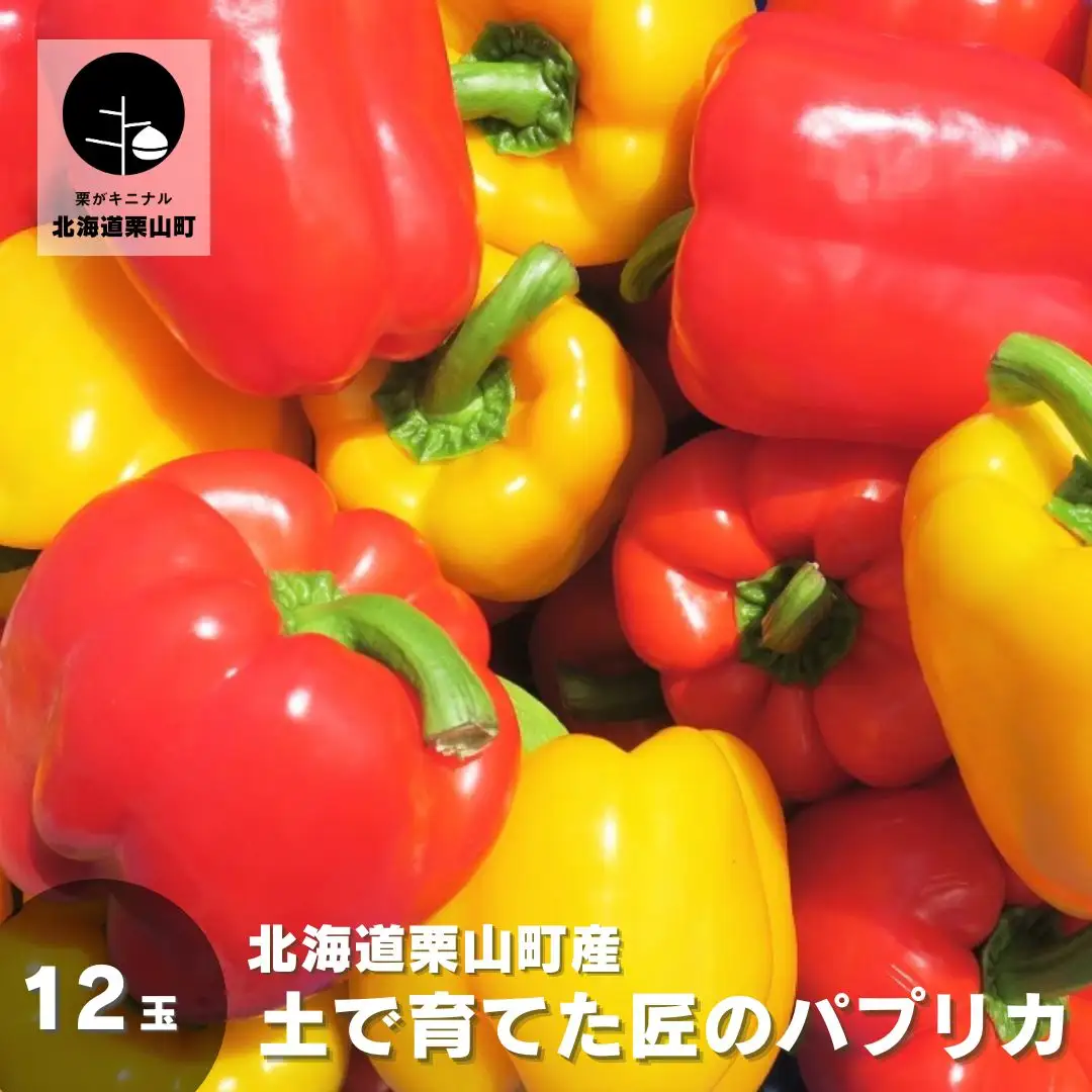 北海道栗山町産 土で育てた匠のパプリカ 12玉