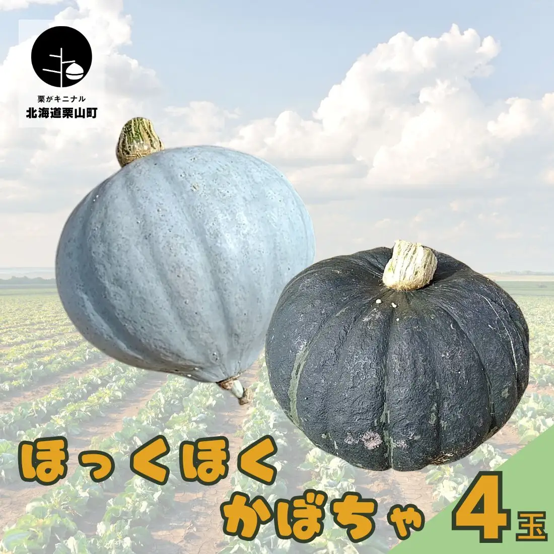 北海道栗山町産 ほっくほくかぼちゃ 4玉