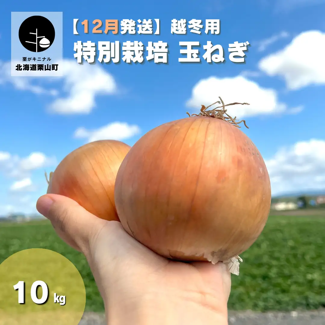 【12月発送】越冬用特別栽培玉ねぎ10kg