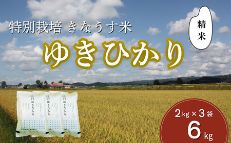 特別栽培米ゆきひかり（精米）2kg×3袋