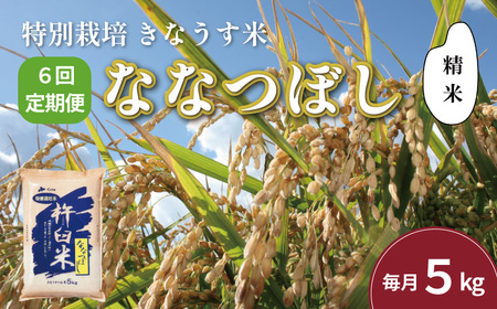 【精米6ヶ月定期便】特別栽培「きなうす米」ななつぼし5kg×6回