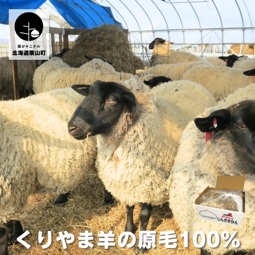 くりやま羊の原毛100％