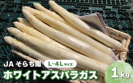 春一番！JAそらち南の味覚「ホワイトアスパラガス」L~4L 1kg前後