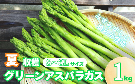 北海道産 夏採り！JAそらち南 夏の味覚「グリーンアスパラガス」S～3L 1kg前後