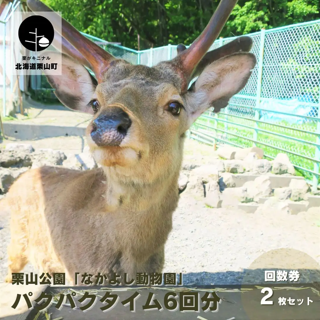 栗山公園「なかよし動物園」パクパクタイム回数券（6回分）2枚セット