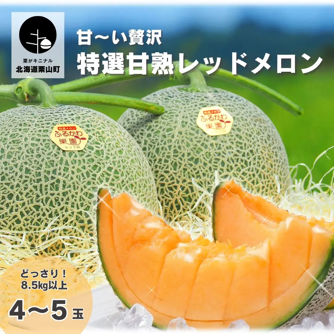 甘～い贅沢「特選甘熟レッドメロン」北海道産どっさり8.5kg!!