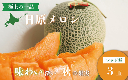 極上の一品「日原メロン（レッド種）」（1.7kg相当×3玉）