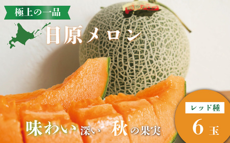 極上の一品「日原メロン（レッド種）」（1.7kg相当×6玉）