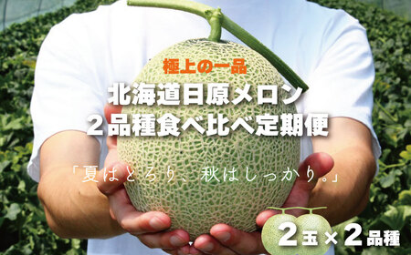 極上の一品「日原メロン」2玉×2品種食べ比べ定期便 北海道産赤肉メロン