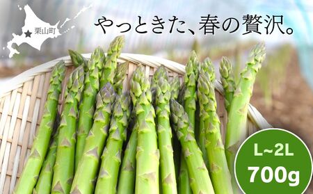 北海道産「春一番！グリーンアスパラガス」L～2Lサイズ以上700g