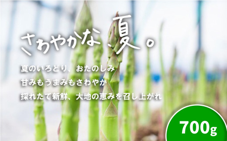 北海道産「夏採れ！北海道アスパラガス」700g