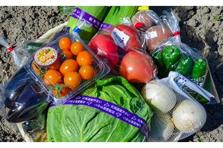大地の恵み 「新鮮！夏野菜セット」