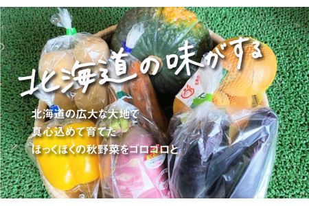 大地の恵み 「秋の味覚！味わいセット」