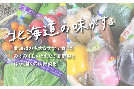 直売所直送「夏・秋野菜定期便」4回