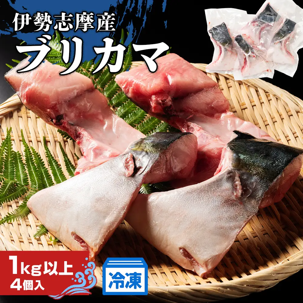 ブリカマ 1kg 伊勢志摩産 城水産 