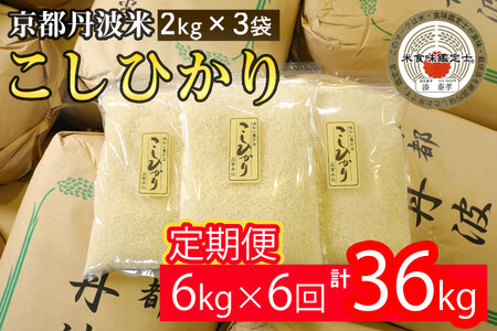 【6回定期便】コシヒカリ 6kg 定期便 精米 白米