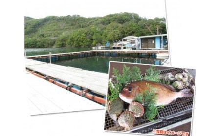 釣り チケット ペア 5回分 貸し切り お土産 付き 城水産 釣堀 釣り堀 魚釣り つり フィッシング 筏釣り 観光 旅行 アクティビティ 家族 子供 子ども 利用券 体験 鯛 たい 魚 魚介 海鮮 海 刺し身 三重 南伊勢 伊勢志摩