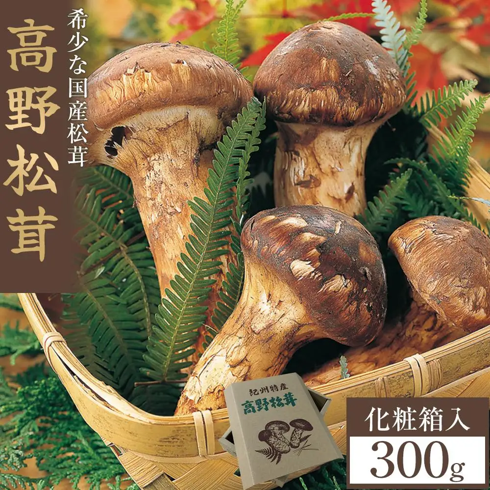 松茸　北海道　300g ④　国産 国産松茸（つぼみ）300g前後（4本から12本前後） 送料無料 クール便