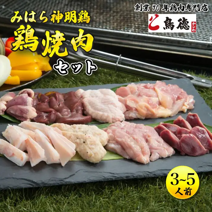 【テレビで話題！】みはら神明鶏の焼肉セット(3～5人前) 鶏肉専門店 鳥徳 鶏肉 神明鶏 鶏モモ セセリ ハツ 手羽先 砂ずり 鶏 とりもも 鶏もも肉 つくね やきにく BBQ セット バーベキュー 012002 