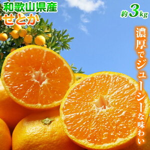 G7353_【2027年先行予約】とろける食感！ジューシー柑橘 せとか 3kg