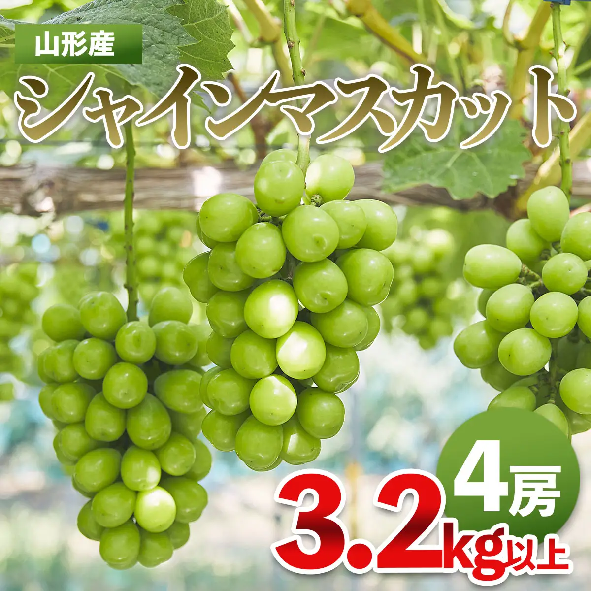 山形市産 シャインマスカット秀3.2kg以上(4房)【前半】  FZ21-207