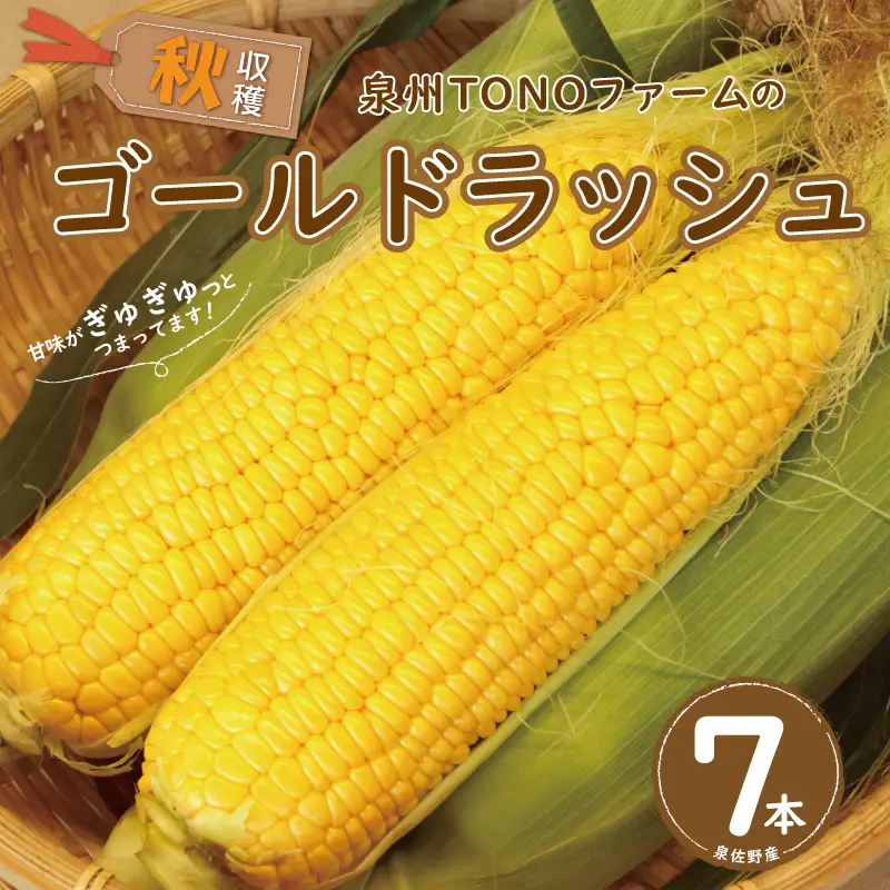 【先行予約】秋収穫！ゴールドラッシュ 7本セット とうもろこし 
