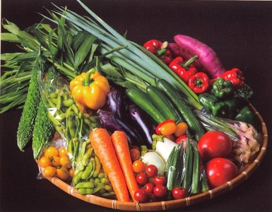 野菜 セット じばさんずの野菜セット 006-05