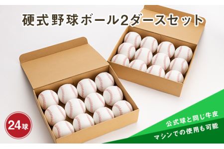 硬式野球ボール2ダースセット 山形県 新庄市 F3S-0809