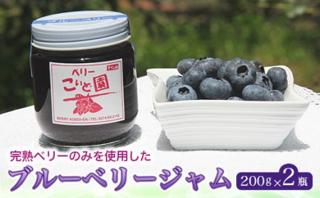 ベリーこいど園 ブルーベリージャム F21K-088