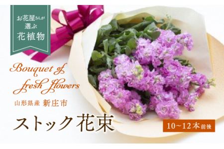 ストック（花束） 10～12本程度 F3S-0410