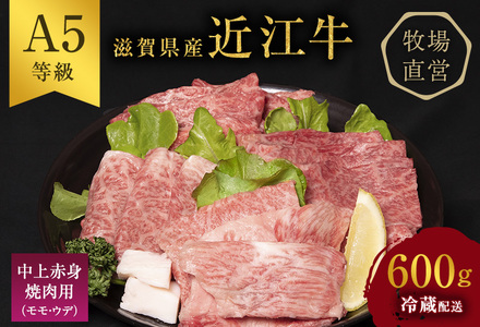 近江牛 焼肉 中上赤身焼肉用 約600g A5 雌牛 西川畜産 牛肉 黒毛和牛 焼き肉 焼肉用 バーベキュー 赤身 肉 お肉 牛 和牛 ブランド牛