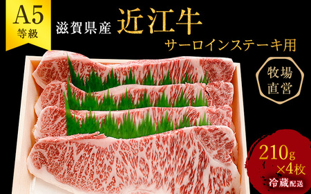 【近江牛 西川畜産】A5ランク雌牛　サーロインステーキ用　約210g×4枚 ふるさと納税 a5 お肉 牛肉 ブランド牛