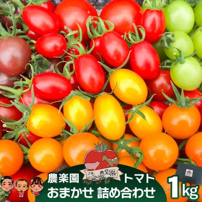 農楽園トマト おまかせ １ｋｇ詰め合わせ