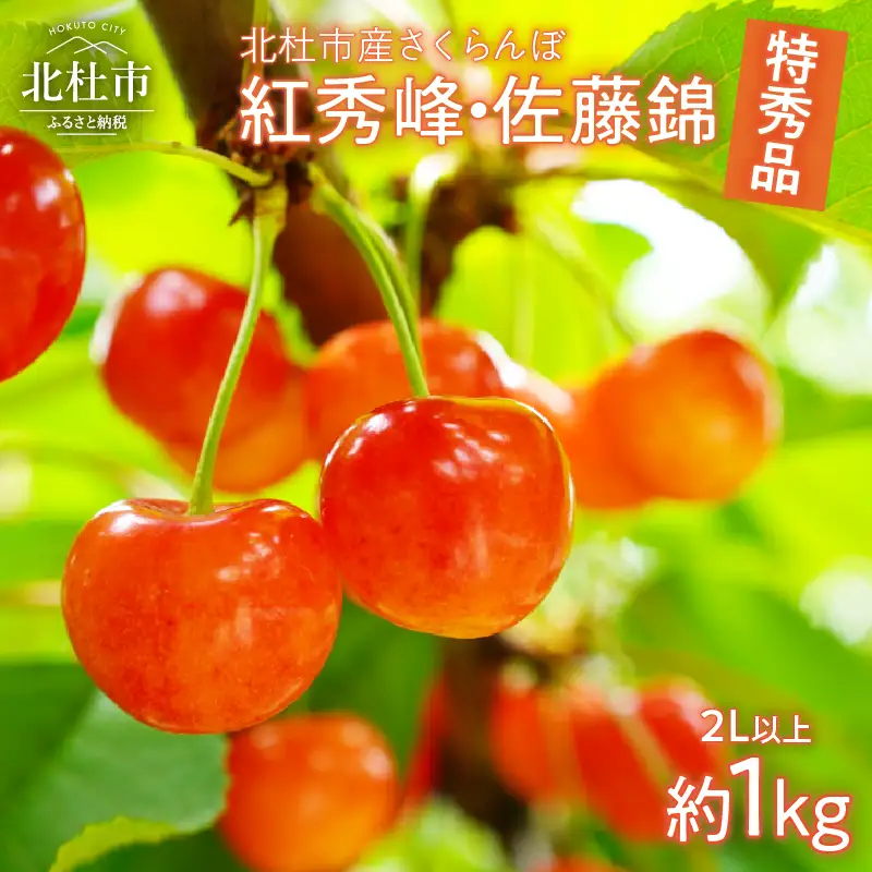 【2026年発送】さくらんぼ 1000g（特秀品・2L 以上）　さくらんぼ 佐藤錦 紅秀峰 [h052]