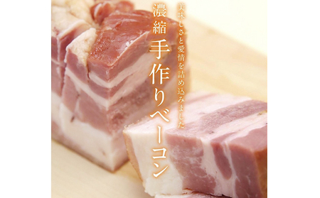 伊吹ハム ベーコン 旨みベーコン 170g 3個 セット ハム ギフト キャンプ 豚肉 おつまみ 国産 滋賀県 米原市