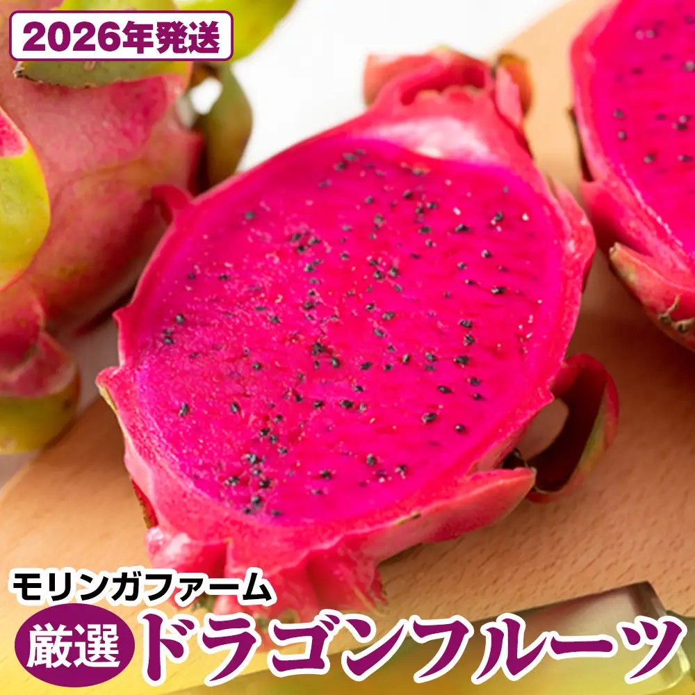 【2026年発送】モリンガファーム 厳選ドラゴンフルーツ