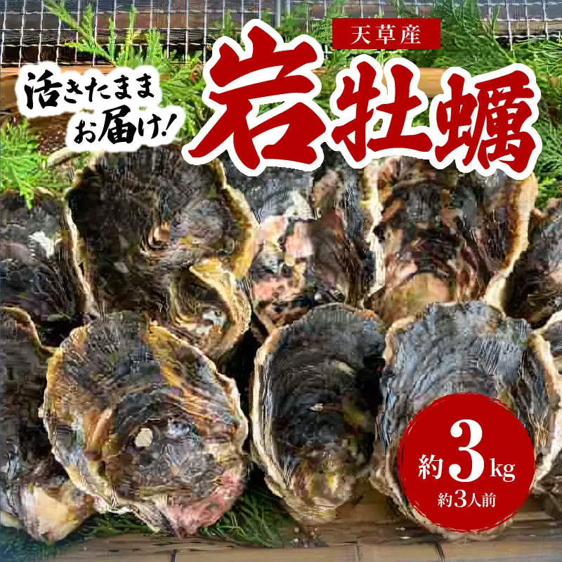 S002-019A_岩牡蠣　約3ｋg　約3人前
