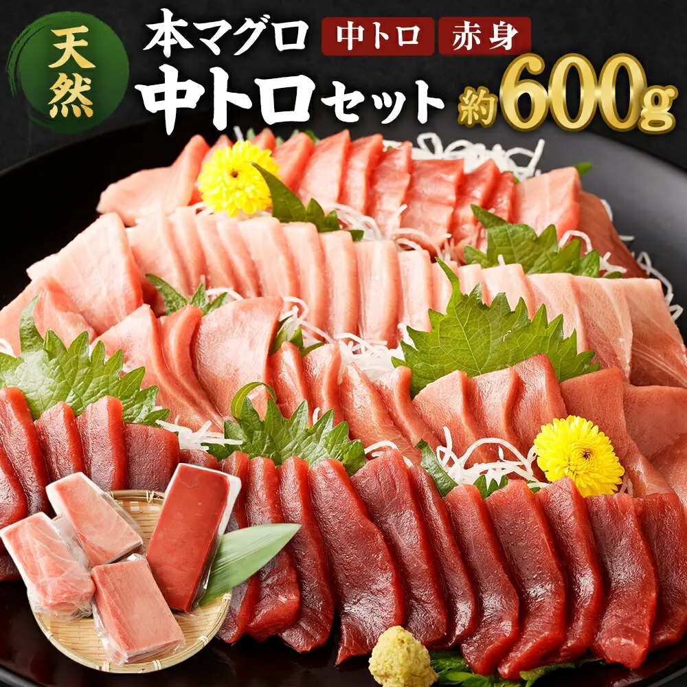 天然マグロ 2種 約600g 【まぐろ】ge005