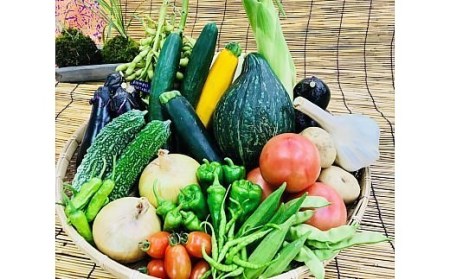 [野菜セット] 産地直送！新鮮とれたて旬の野菜 [3246]