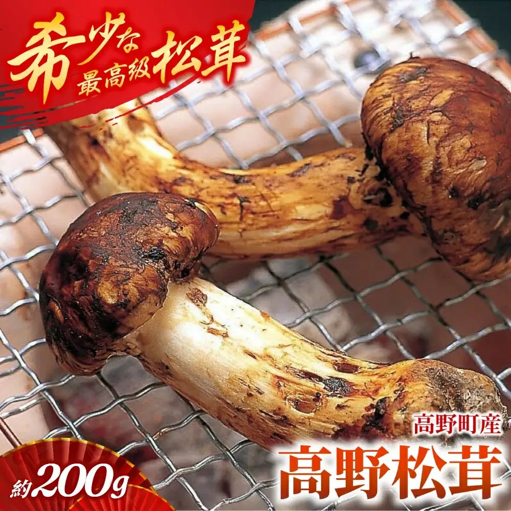  松茸 国産「高野松茸」約200g【化粧箱入】2026年発送【S021-mtgn012】