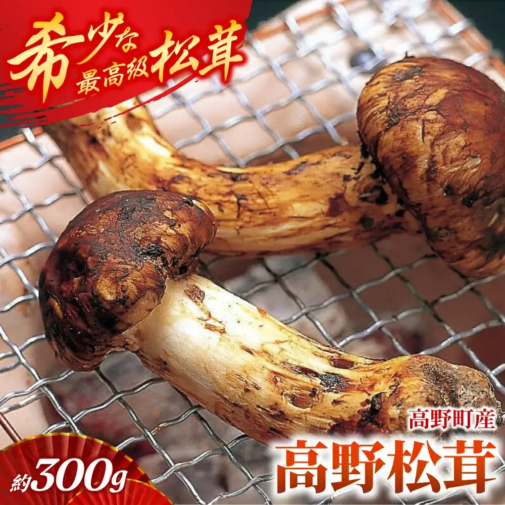  松茸 国産「高野松茸」約300g【化粧箱入】2026年発送【S022-mtgn013】